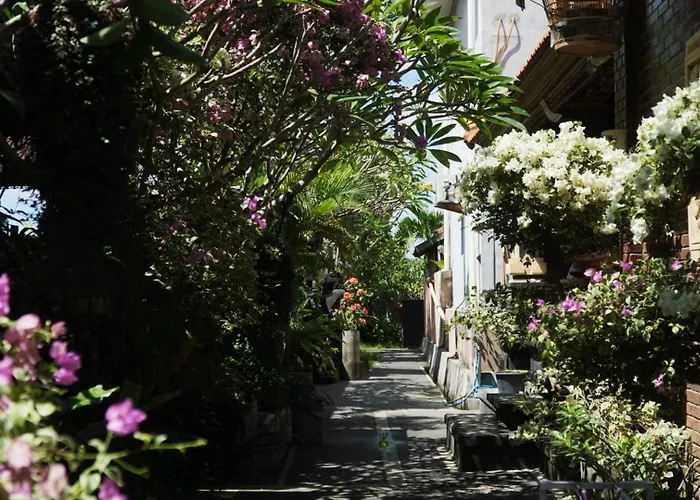 Leo Canggu (Bali)